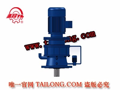 TBLD 新型立式單級專用電機(jī)直聯(lián)型擺線針輪減速器（機(jī)）